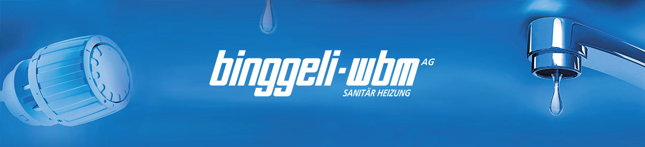 Binggeli-wbm AG
